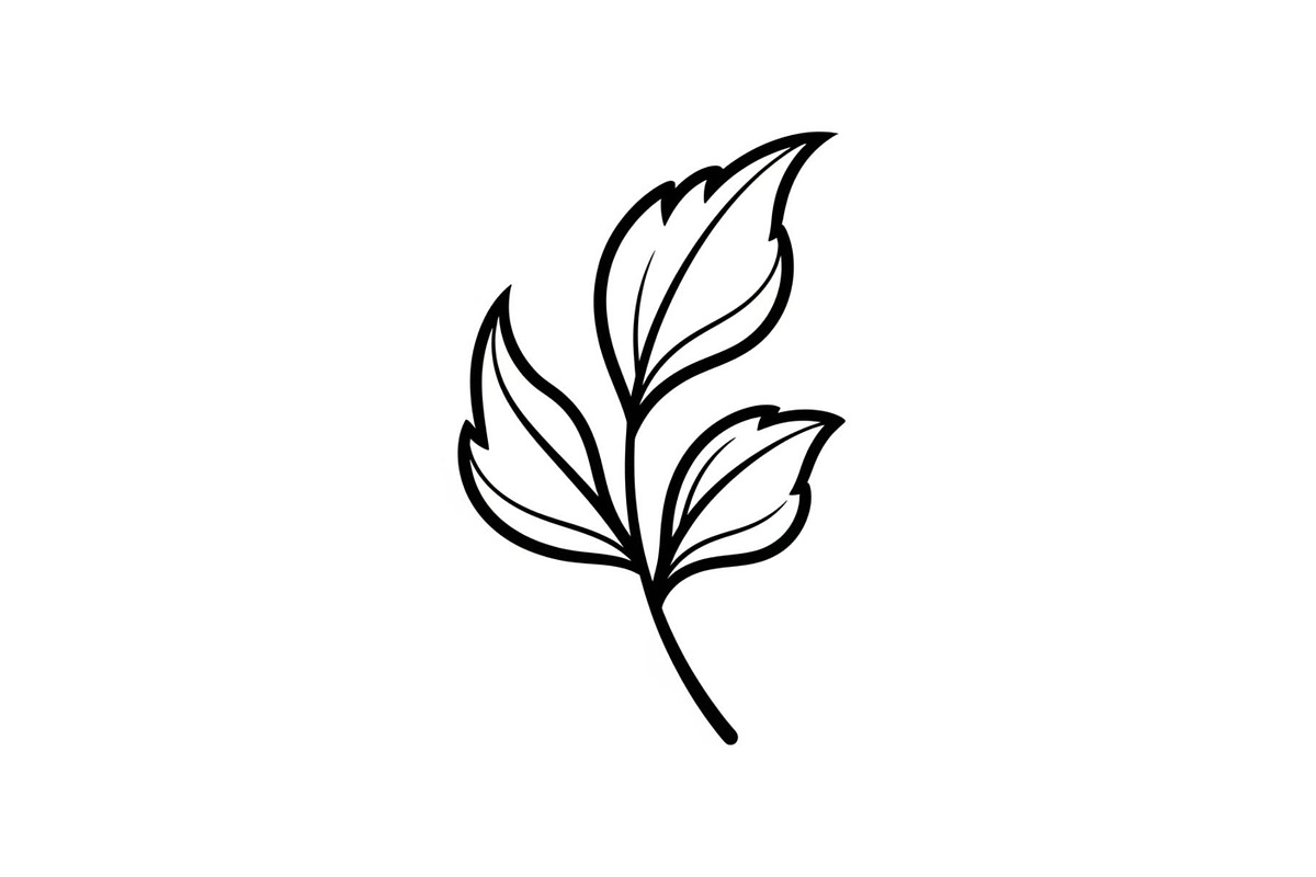 Hand Drawn Leaf Line Art Bundle, an Illustration by hafijul (Photo 39 of 51)