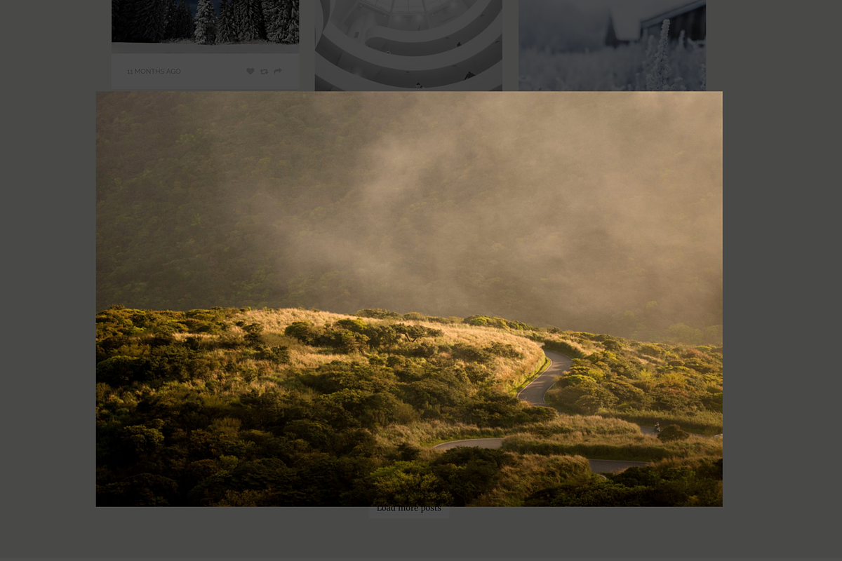Floro Tumblr Photo Theme, a Websites & App Template by Dabu Themes (Photo 8 of 9)