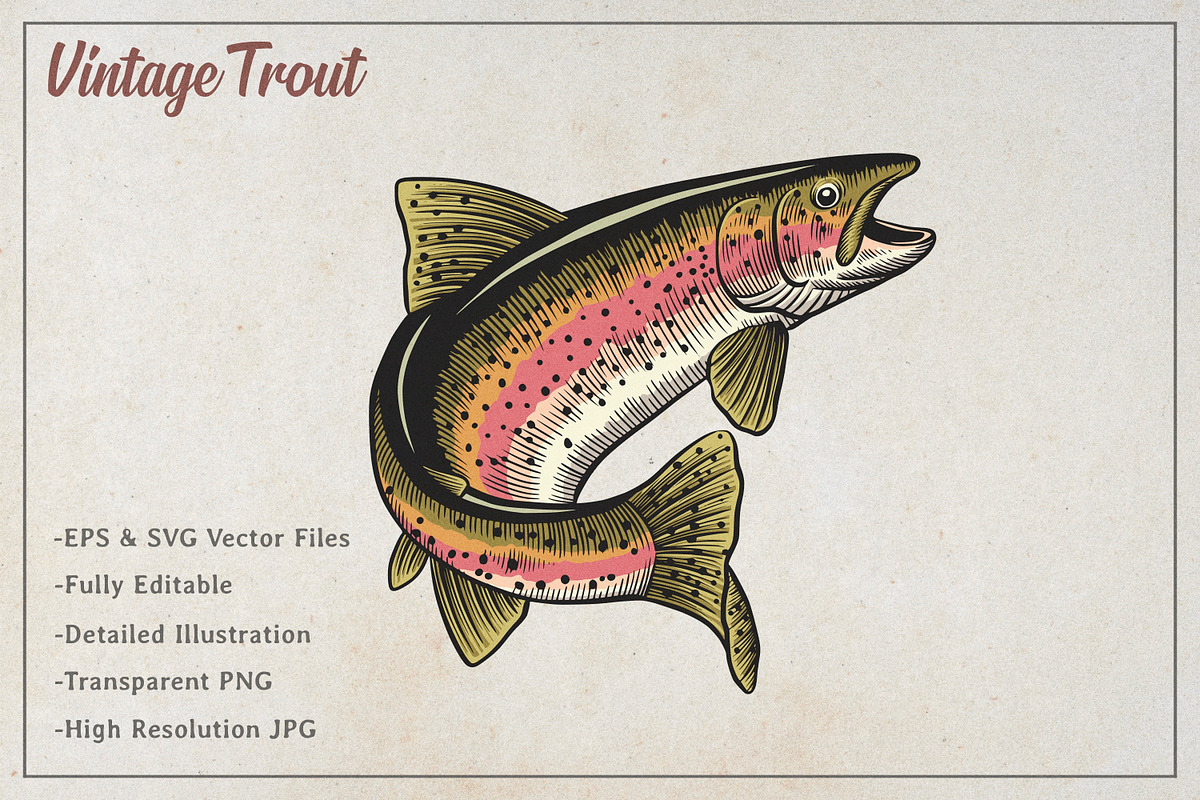 Vintage Trout Vector Art, an Animal Illustration by Kusumaillustration (Photo 2 of 4)