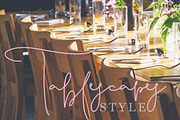 Pattersonville Script Font, a Script Font by Creativeqube Design (Thumbnail 12 of 26)