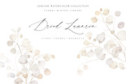 FLORAL WINTER BOX Watercolor Bundle, a Seasonal Illustration by Muse Artist (Thumbnail 74 of 95)