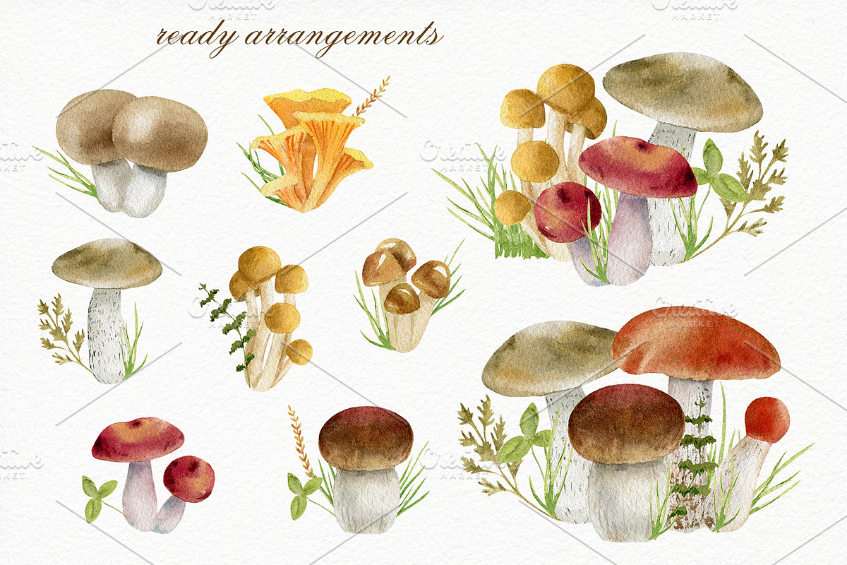 Forest watercolor designer toolkit, an Animal Illustration by Elegantia (Photo 20 of 28)