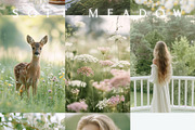 230 Sage Green Stock Images Bundle, a Beauty & Fashion Photo by Allure Art (Thumbnail 30 of 33)