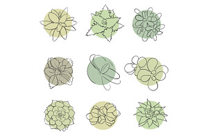 Set of hand drawn succulents.
