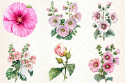 Watercolor Hollyhock Clipart, an Illustration by Libby Wishes (Thumbnail 6 of 12)