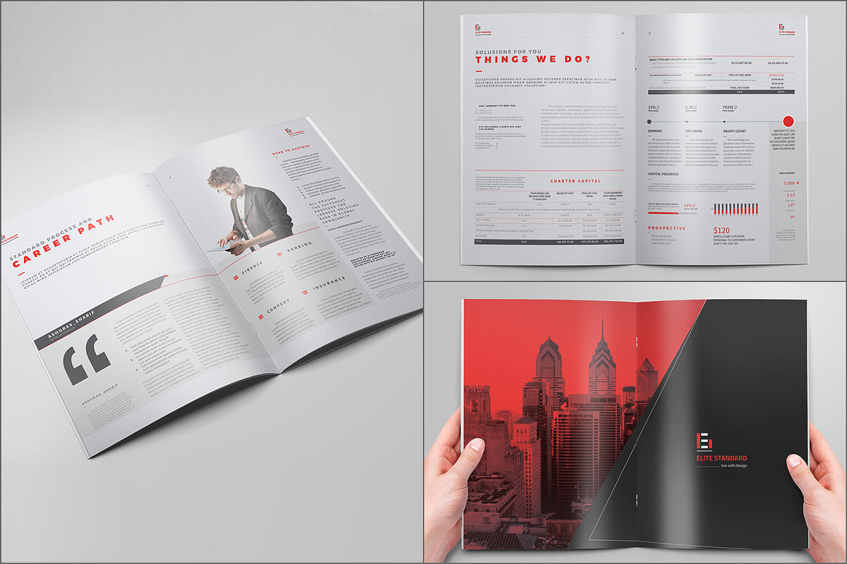 Brochure, a Brochure Template by Elite_Standard (Photo 5 of 9)