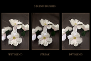 The Florist Procreate Brush Set, a Brushes & More by Ema Nur (Thumbnail 6 of 11)
