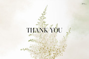 Spring greenery, floral cliparts, a Texture Illustration by ollalya (Thumbnail 14 of 14)