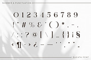 Rheata - Unique Serif Font, a Serif Font by Idea Studio (Thumbnail 11 of 11)