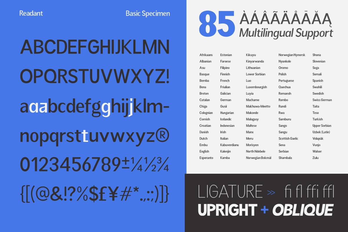 Readant Normal - Family Font, a Sans Serif Font by Rastype (Photo 6 of 10)