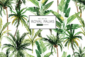 Royal Palms, Patterns & Motifs!