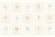 Botanical Hand Drawn Designs, Logos, a Seasonal Illustration by Designwork (Thumbnail 6 of 22)