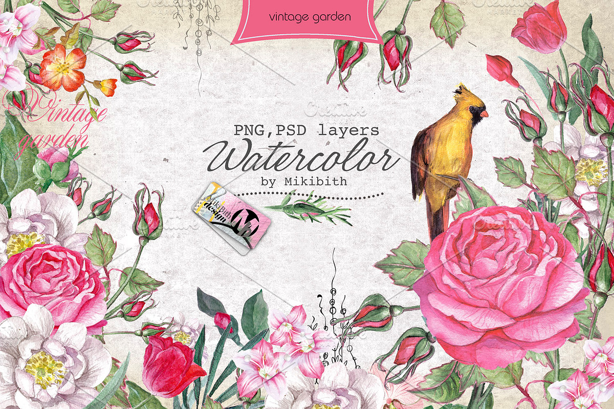 Over 120PNG watercolors, an Illustration by Alisa Mikibith Art (Photo 5 of 15)