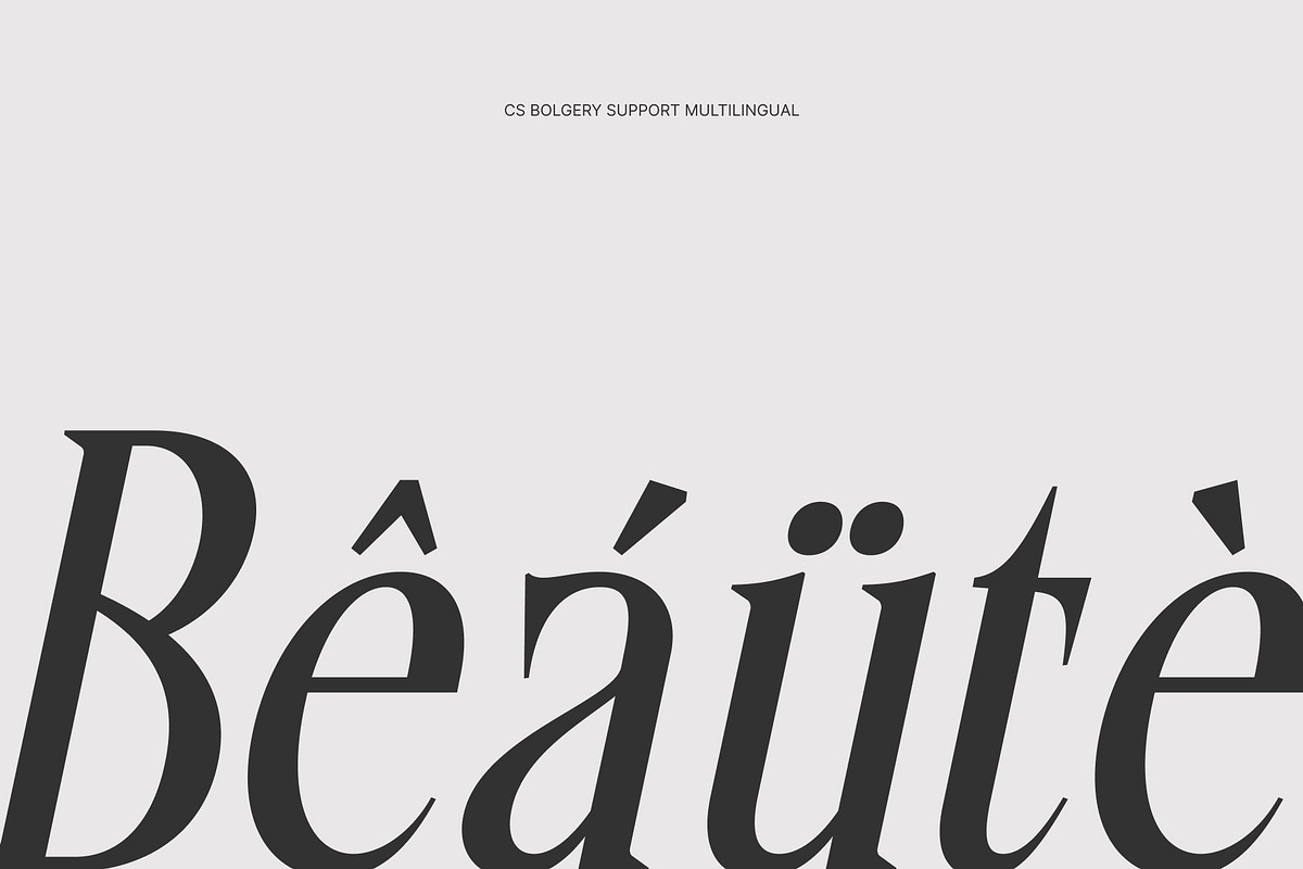 CS Bolgery – Elegant Serif Font, a Serif Font by Craft Supply Co. (Photo 7 of 8)