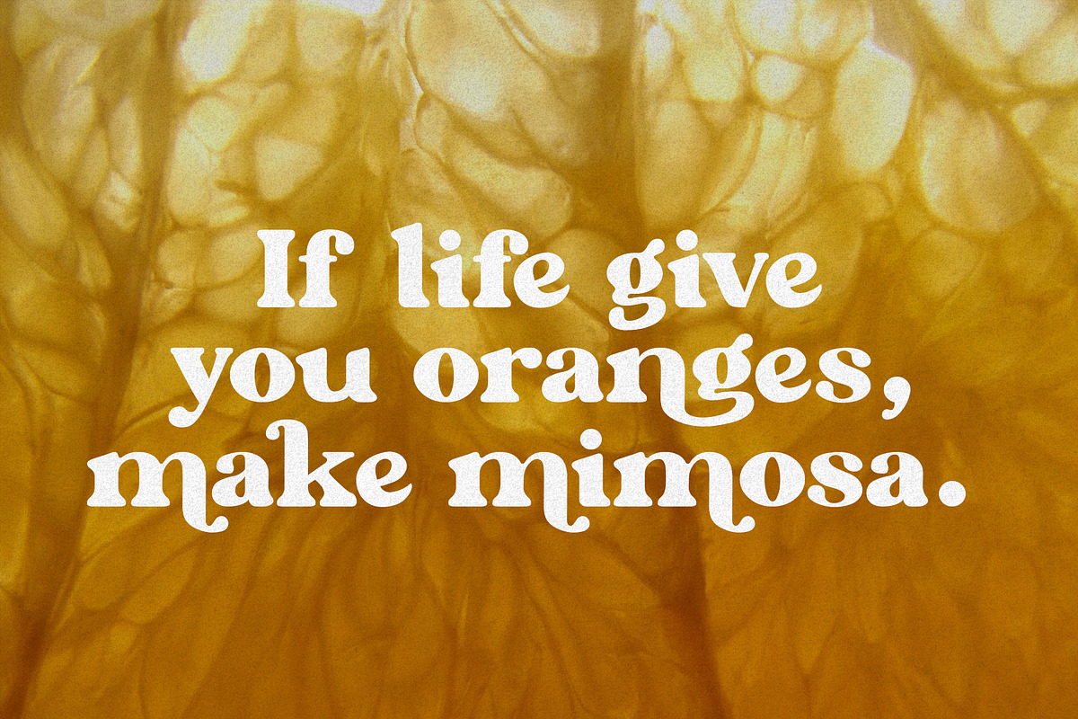 Mimosa - Modern Retro Typeface, a Sans Serif Font by HipFonts (Photo 4 of 7)
