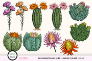 Southwestern Desert Flowers Clipart, a Decorative Illustration by SLS Lines (Thumbnail 4 of 6)