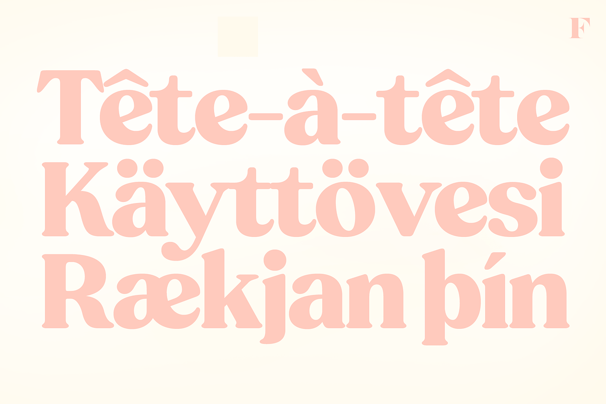 Peach Crush Serif Typeface, a Serif Font by Fenotype (Photo 16 of 16)