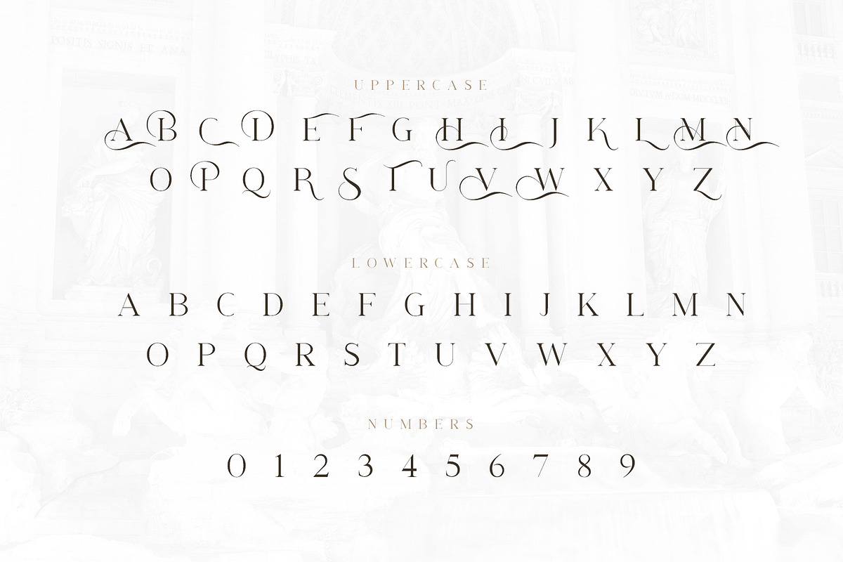 Athena - Stylish Modern Serif Font preview 5