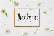 Ballessi, a Script Font by Forberas Club (Thumbnail 6 of 6)