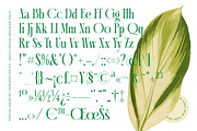 Questing Silver Modern Serif, a Serif Font by timelesstype.co (Thumbnail 18 of 20)