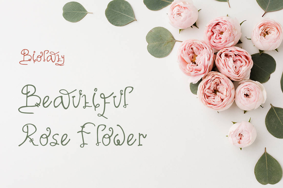 Biolati - Cute Handwritten Font, a Script Font by Naistudio (Photo 7 of 7)