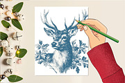Vintage Clipart Botanical Sketches, an Illustration by DreamCafeArt (Thumbnail 5 of 6)