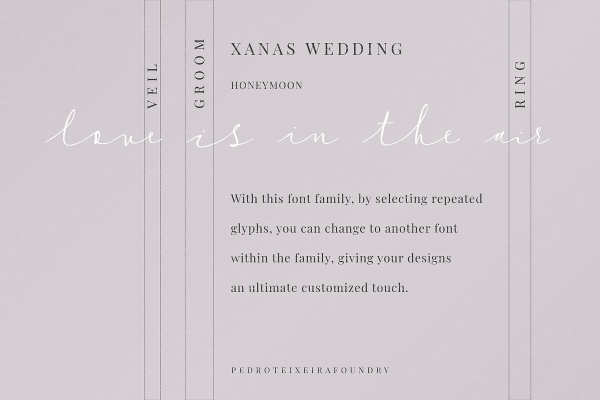 (44 fonts) Xanas Wedding Font Family, a Script Font by vectalex (Photo 7 of 8)