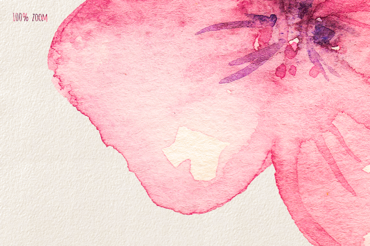 Cherry Blossom Watercolor Collection, an Illustration by By Kerri Ann (Photo 5 of 8)