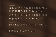 Blittenk Luxury Serif Font, a Serif Font by Perfectype (Thumbnail 7 of 8)