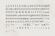 La Segar - Modern Elegant Serif Font, a Serif Font by Almeera Std (Thumbnail 6 of 6)