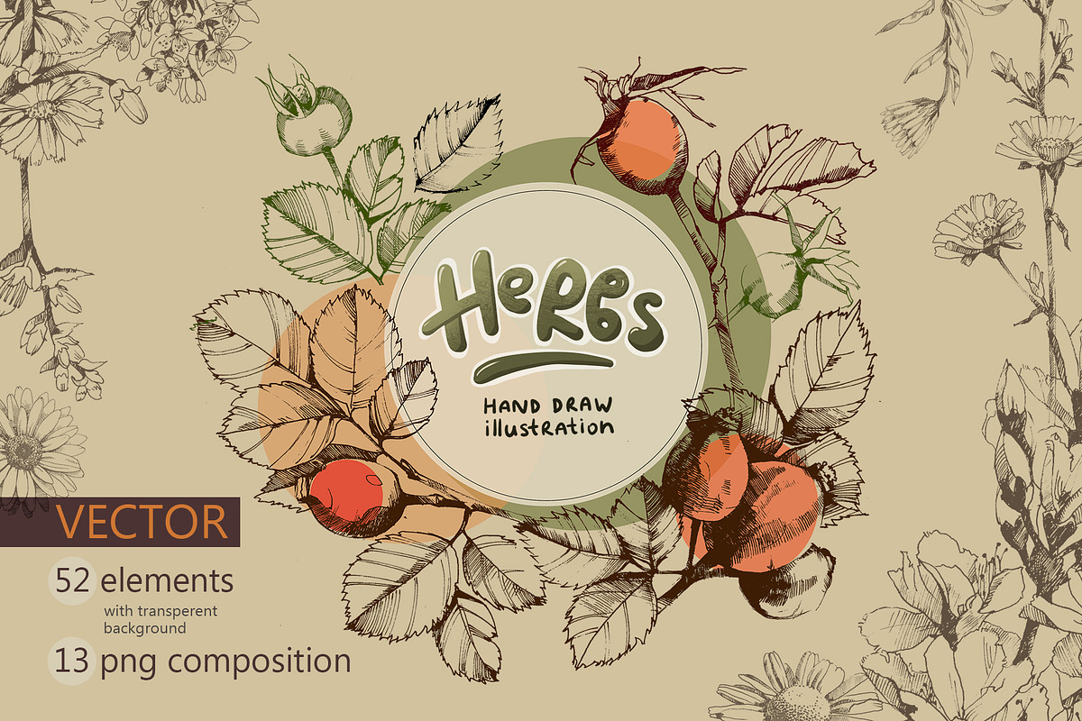 Vector HERBS, a Healthcare Illustration by Izobova (Photo 1 of 4)