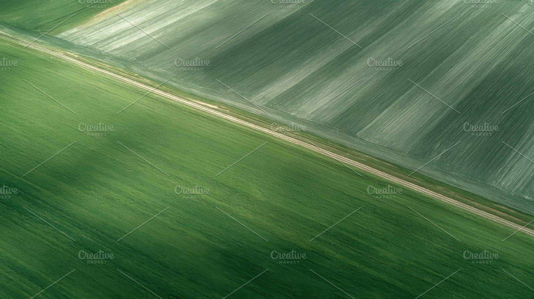 Green fields stretch far and wide, a Photo by Beautiful things