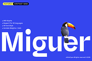 Miguer Sans | Contrast Sans, a Sans Serif Font by Jolicia Type (Thumbnail 1 of 21)