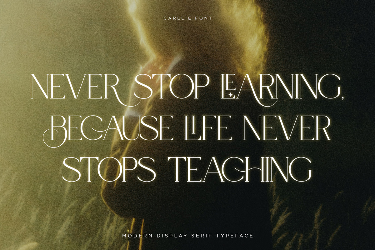 Carlly | Modern Elegant, a Serif Font by Pentagonistudio (Photo 7 of 10)