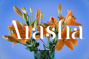 Barfiola Typeface, a Serif Font by MJtypefoundry (Thumbnail 5 of 14)