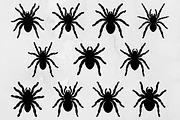 Tarantula Silhouette SVG, an Animal Illustration by newminddesign (Thumbnail 1 of 10)