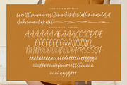 Romantic Essentials, a Script Font by operatype.co (Thumbnail 14 of 15)