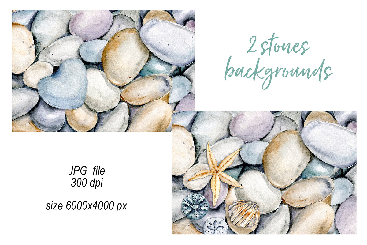 Shells, beach watercolor set., an Illustration by Larisa Maslova (Photo 3 of 13)