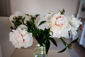Beautiful white peonies blooming in a glass vase with green leaves, a Photo by AS photostudio