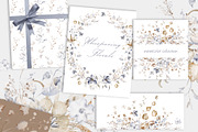 Dried Flowers Watercolor Collection, a Decorative Illustration by LenArt (Thumbnail 4 of 12)