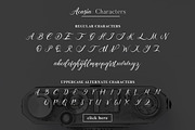 Acasia, a Script Font by Bokuto Studio (Thumbnail 10 of 10)