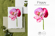 Pink watercolor digital Poppy flower, a Decorative Illustration by Harmony Draws (Thumbnail 2 of 6)