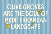 Studios Meditera - Handmade Font Duo, a Handwritten Font by The Native Saint Club (Thumbnail 10 of 15)