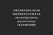 Milne - A Bold Sans Serif, a Sans Serif Font by Cassandra Cappello (Thumbnail 7 of 11)