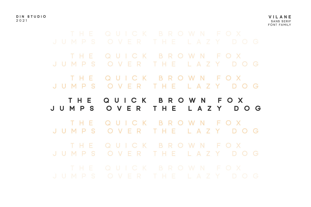 Vilane, a Script Font by din-studio.com (Photo 6 of 11)