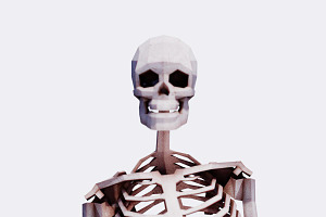 Low Poly Human Skeleton 40 Poses