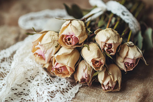 Dried roses on textured surface, a Photo by Beautiful things