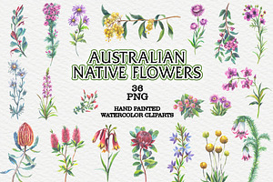 Australian Native Flowers