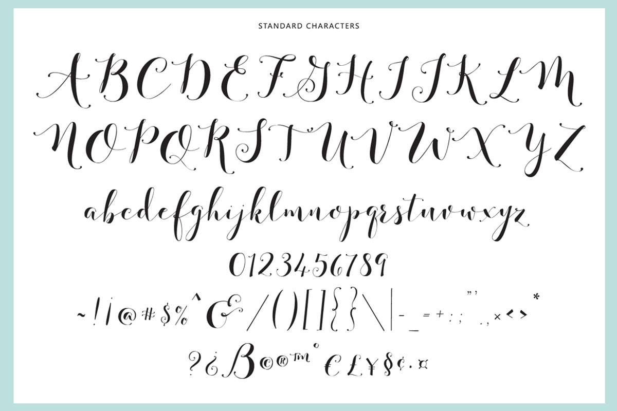 Fashionista Black, a Script Font by Emily Spadoni (Photo 10 of 10)