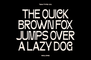 TAN-MALONE, a Sans Serif Font by TanType (Thumbnail 9 of 11)